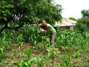 Sylvia dabbles in some gardening on the Odula family farm of Rusinga Island in Kenya. The farm's main crop is maize, which features prominently in the local cooking.